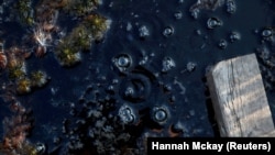 Проєкт готують до кліматичної конференції ООН, яка пройде в листопаді в Шотландії