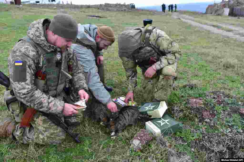 Украинские солдаты и бездомные кошки просматривают продуктовые наборы российских военных. Змеиный остров стал символом украинского сопротивления, когда 24 февраля была выпущена аудиозапись, в которой украинский пограничник нецензурно говорит командиру российскому военного корабля «Иди на ...!».