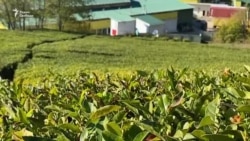 Власти против фермеров Власти против фермеров