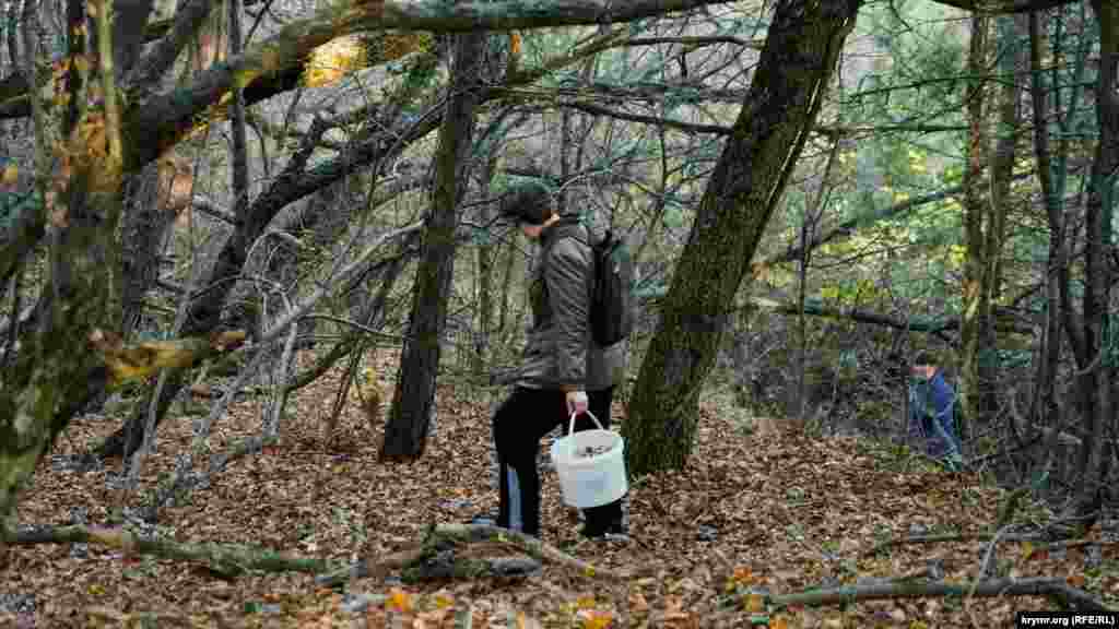 Середина декабря – разгар грибного сезона на склонах Могаби