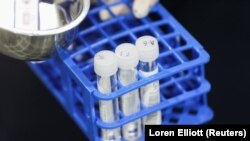 Йдеться про різновид «омікрону», який називають типом ВА.5