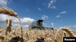 У Мінагрополітики прагнуть, щоб основні світові експортери зернових об’єдналися для захисту власних інтересів на світовому ринку