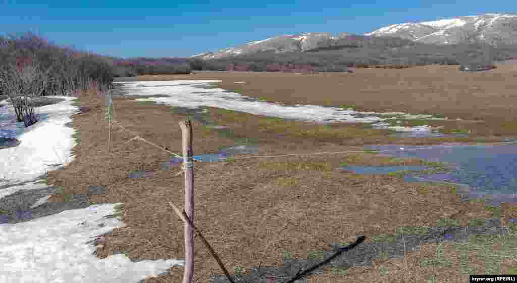 Коттеджная застройка со временем вплотную приблизится к границе пастбища фермерского хозяйства «Эдем»