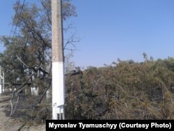 Побілені до Дня Шахтаря стовпи з оголеною арматурою на фоні чорних від пожару узбіч