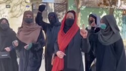 افغانانو او نړیوالو د نجونو پر تعلیم د طالبانو بندیز په کلکه غندلی افغانانو او نړیوالو د نجونو پر تعلیم د طالبانو بندیز په کلکه غندلی