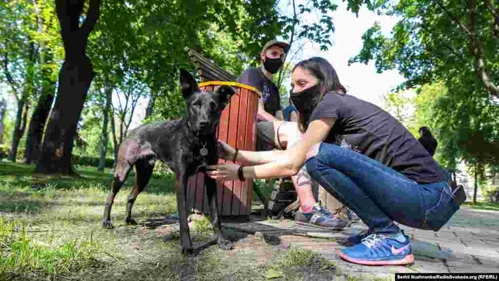 Кто-то пришел с домашними питомцами, с которыми здесь можно было гулять и в период «жесткого» карантина