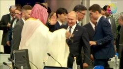 Дружеская встреча Дружеская встреча