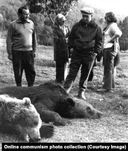 Чаушеску оглядає нещодавно убитих ведмедів в Бистриці на півночі Румунії в 1972 році