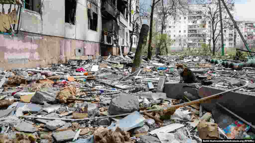 «У нашому обласному центрі – нове кладовище, за 52 дні війни – понад 400 могил. У місті досі залишаються близько 20 тисяч мешканців, до 24 лютого було 130 тисяч. Виїжджайте!», – написав Гайдай у телеграмі 17 квітня