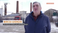 Mircea Gherghe vorbește despre decăderea fabricii de zahăr Bod, după privatizarea acesteia la finalul anilor '90. Mircea Gherghe vorbește despre decăderea fabricii de zahăr Bod, după privatizarea acesteia la finalul anilor '90.