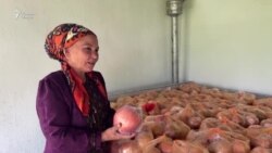 Кишоварзони хатлонӣ аз ҳосили имсолаи анор ҳушҳол будаанд Кишоварзони хатлонӣ аз ҳосили имсолаи анор ҳушҳол будаанд