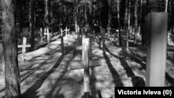 Изюм. сентябрь 2022. Кладбище на улице Шекспира. Эксгумация останков людей, погибших и умерших за время российской оккупации