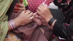 بلوچستان کې د معیادي تبې واکسينو کيمپېن روان دی