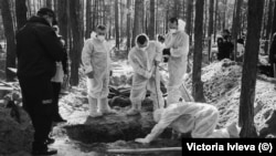 Ексгумація тіл людей, які загинули під час російської окупації міста Ізюм на Харківщині. Україна, вересень 2022 року