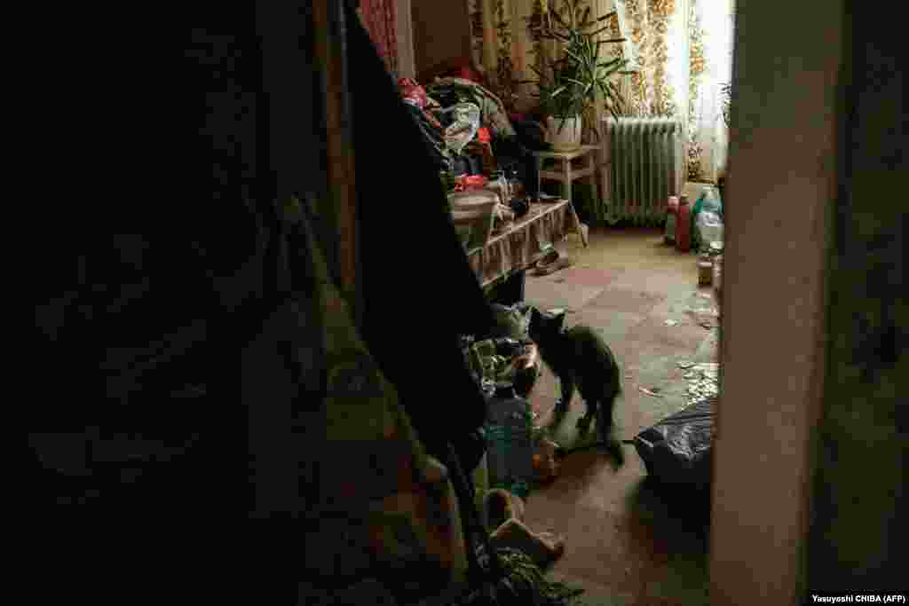 Волонтери досі намагаються евакуювати тих, хто не виїхав. 90-річного Івана Солов’янкова, пенсіонера, який живе в цій квартирі зі своїм котом, зрештою вдалося переконати