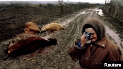 Селение Самашки, российские войска убили скот этой женщины. 1994 год