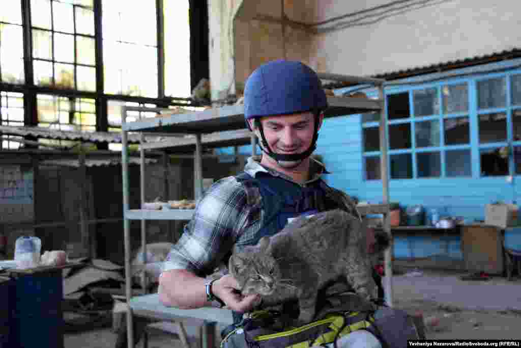 Котик вцілів  