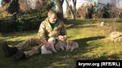 Олег Зубков и львята в парке львов «Тайган», 2020 год