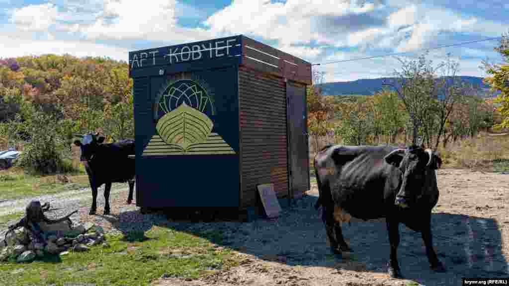 Сельские коровы у входа в «Арт-ковчег»