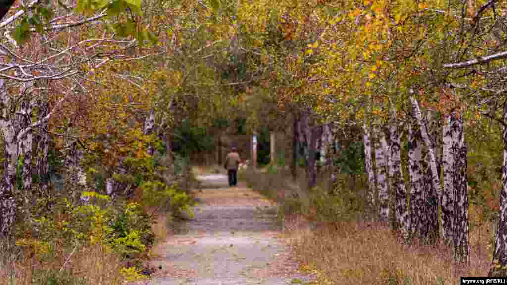 На аллеях поселкового парка культуры и отдыха «Аграрник», что через дорогу от «Гренадерского». Его площадь – 2,5 гектара