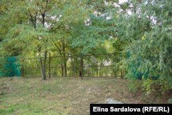 Залишки паркану біля прибирежної смуги озера