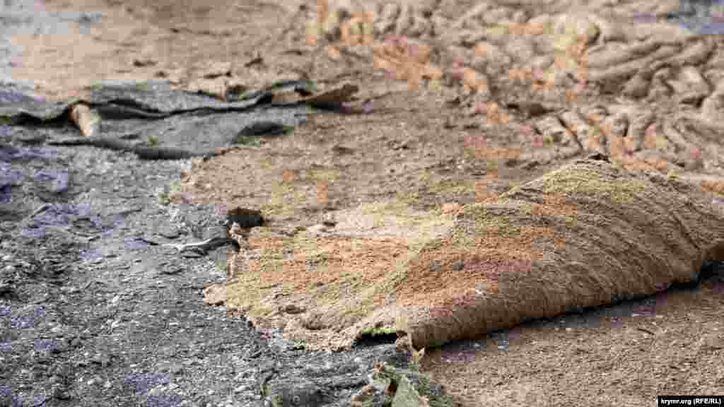 Выброшенная на берег озерная тина 