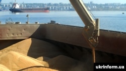 Перевантаження зерна на терміналі СП «Нібулон» у Миколаїв