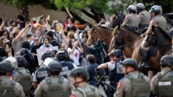 Американские вопросы: Возвращение в 60-е? Против чего протестуют американские студенты? Американские вопросы: Возвращение в 60-е? Против чего протестуют американские студенты?