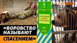 Погибшие и похищенные животные с оккупированных территорий Украины (видео) Погибшие и похищенные животные с оккупированных территорий Украины (видео)