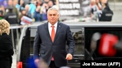 Всі члени альянсу, крім Будапешта і Анкари, вже схвалили заявки