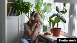 Na podcast platformama možete pronaći četiri serijala Radija Slobodna Evropa