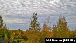 Ветланды парка Победы