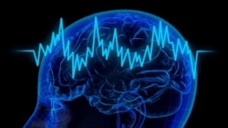 Футурошок. Нейроэкономика Футурошок. Нейроэкономика