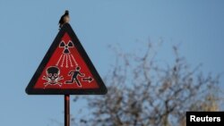 Иллюстрационное фото