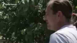 Несгибаемый. История Владимира Балуха (видео) Несгибаемый. История Владимира Балуха (видео)