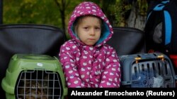 Иллюстрационное фото