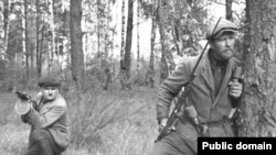 (ілюстраційне фото)