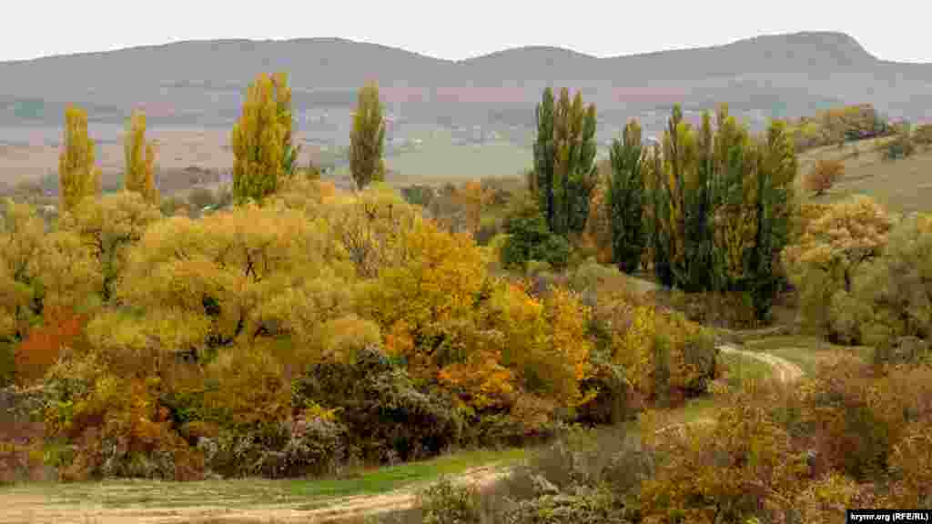 Полевая дорога пересекает долину реки Кучук-Карасу (с крымскотатарского – «маленькая черная вода, река»)