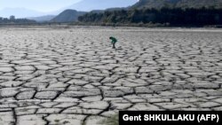 Зміни клімату є невідворотними, і вони ідуть прискореними темпами