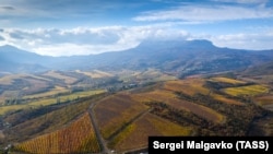 Алушта. Краєвид на виноградники, ілюстраційне фото