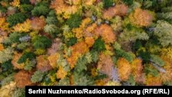 Осінь у Карпатах