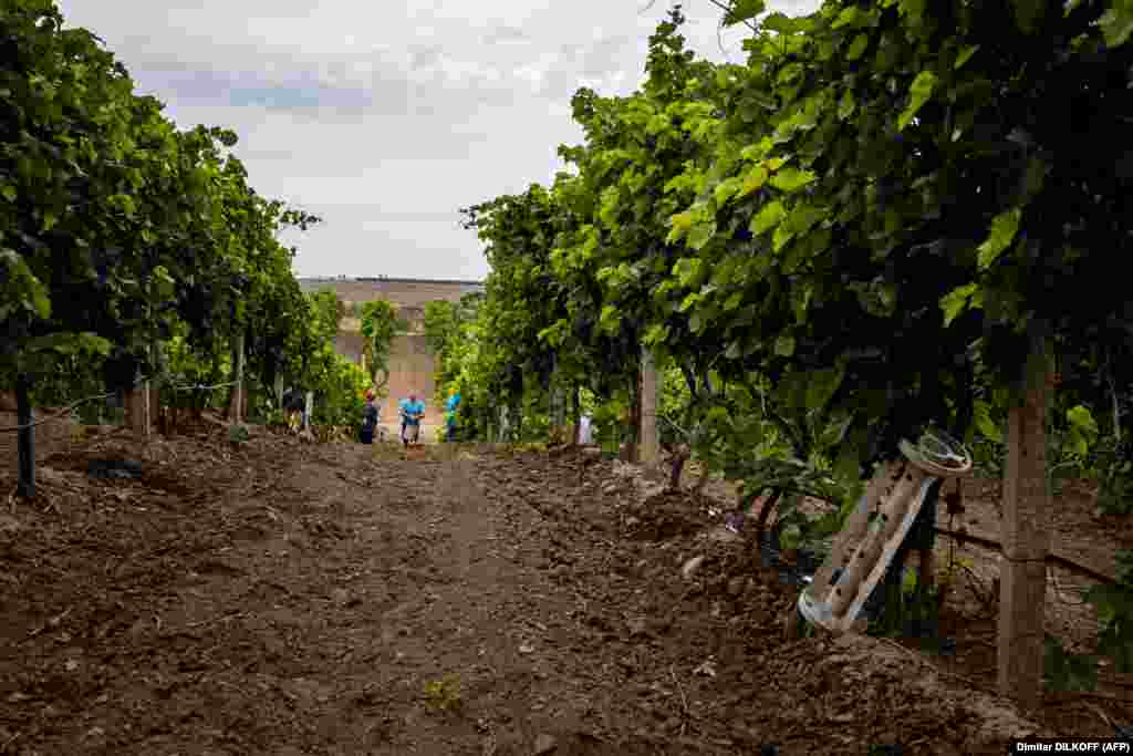 Od ruske invazije na Ukrajinu 24. veljače, ovo zabačeno, vjetrom šibano mjesto izgubilo je svoj uobičajeni mir.