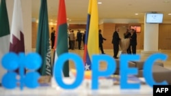 Це рішення стало відмовою президенту Сполучених Штатів Джо Байдену, який закликав ОПЕК+, очолювану Саудівською Аравією, не скорочувати видобуток