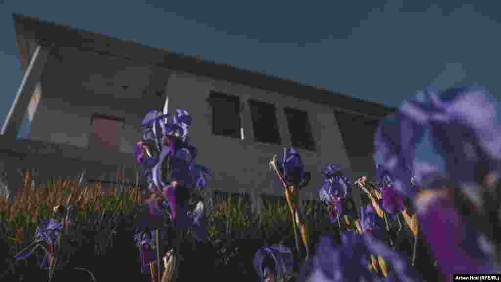 Cvijeće u dvorištu napuštene kuće u blizini rudnika uglja.