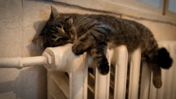 Человек имеет право. Очередь не занимать! Человек имеет право. Очередь не занимать!