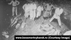Эксгумация останков жертв Красного террора в Харькове