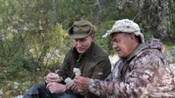 Элиты Путина Элиты Путина