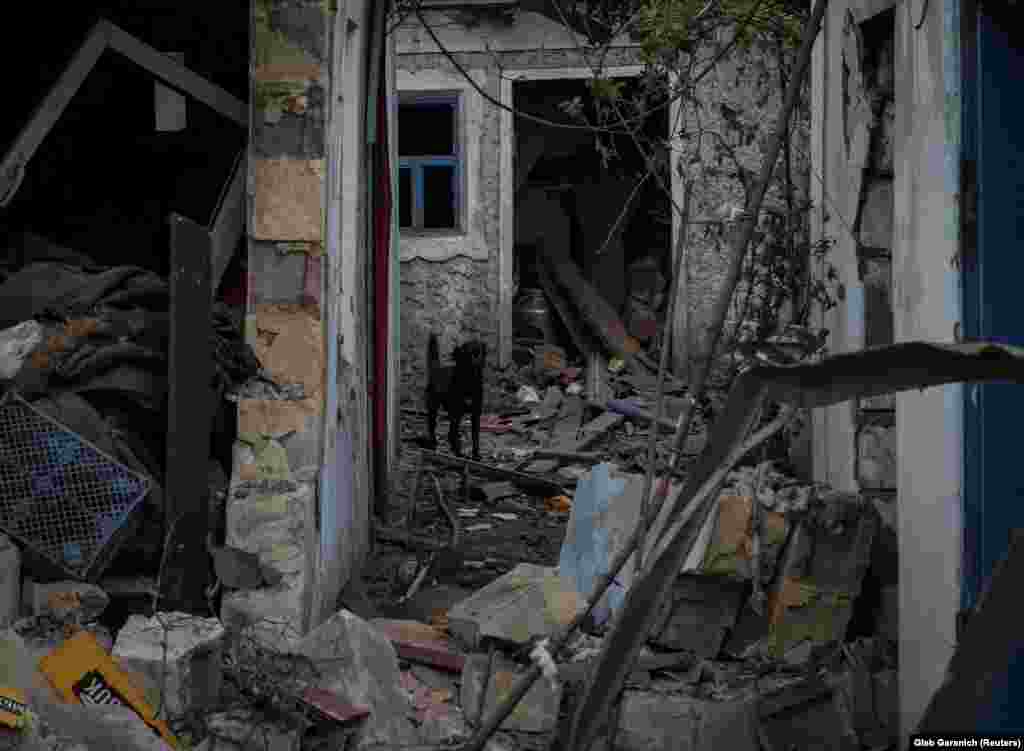 Заступник міністра оборони України Ганна Маляр заявила, що Україна отримала лише 10% обіцяного союзниками для відсічі російської агресії озброєння. «Як би Україна не намагалася, якою б професійною не була наша армія, без допомоги західних партнерів ми не зможемо виграти цю війну», – сказала Маляр під час телевізійного брифінгу, зазначивши, що Захід має прискорити постачання озброєння Україні