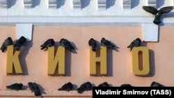 Голуби на вывеске кинотеатра