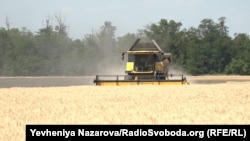 Жнива, Запорізький район Запорізької області, 5 липня 2022 року